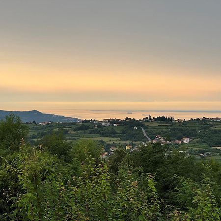 Guesthouse Green Istria Truske Екстер'єр фото