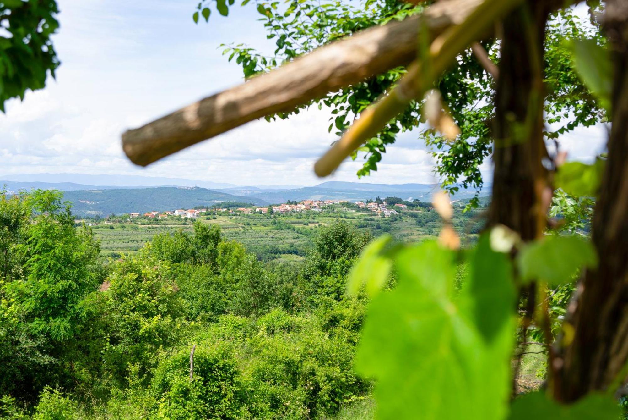 Guesthouse Green Istria Truske Екстер'єр фото