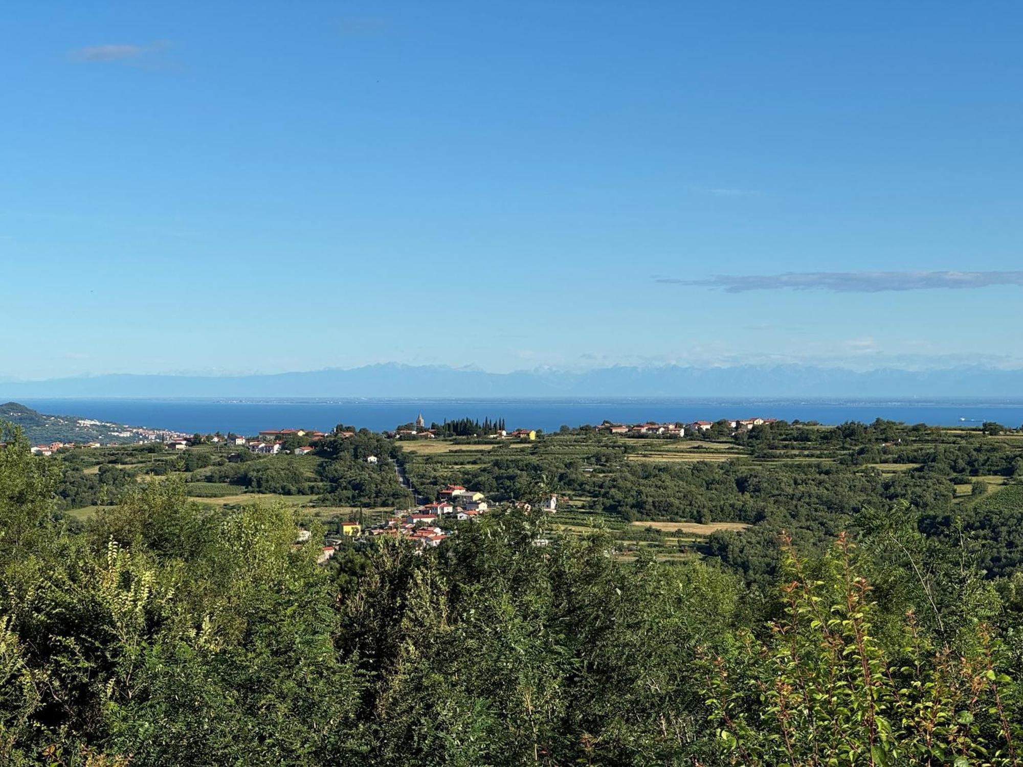 Guesthouse Green Istria Truske Екстер'єр фото