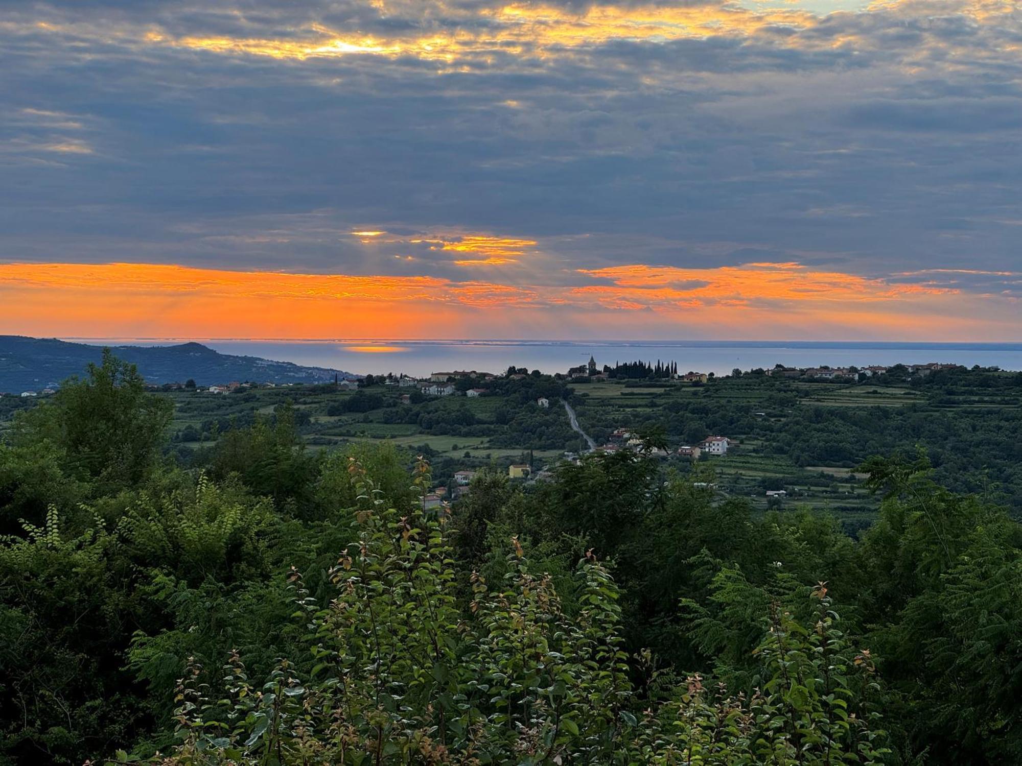Guesthouse Green Istria Truske Екстер'єр фото