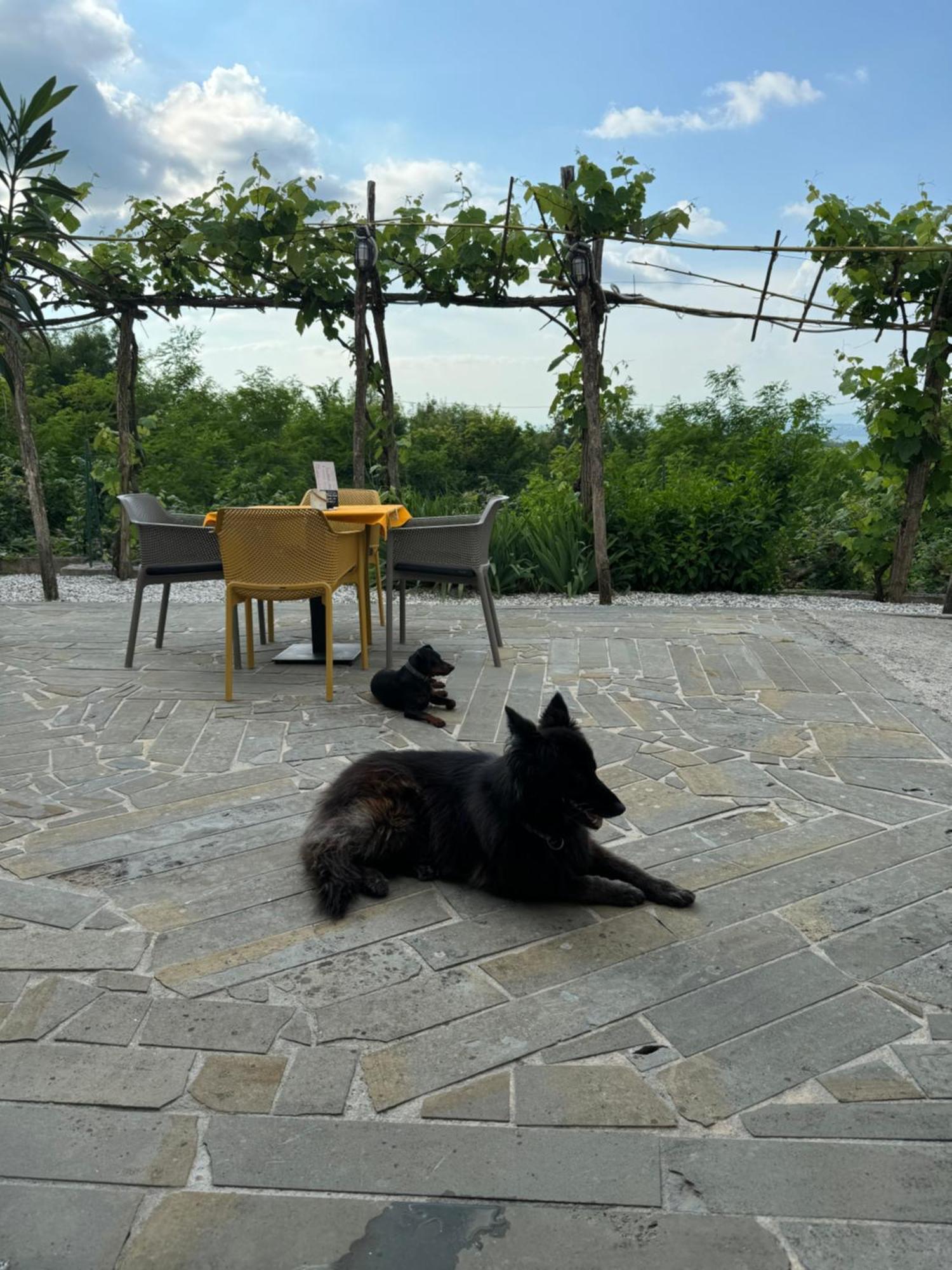 Guesthouse Green Istria Truske Екстер'єр фото