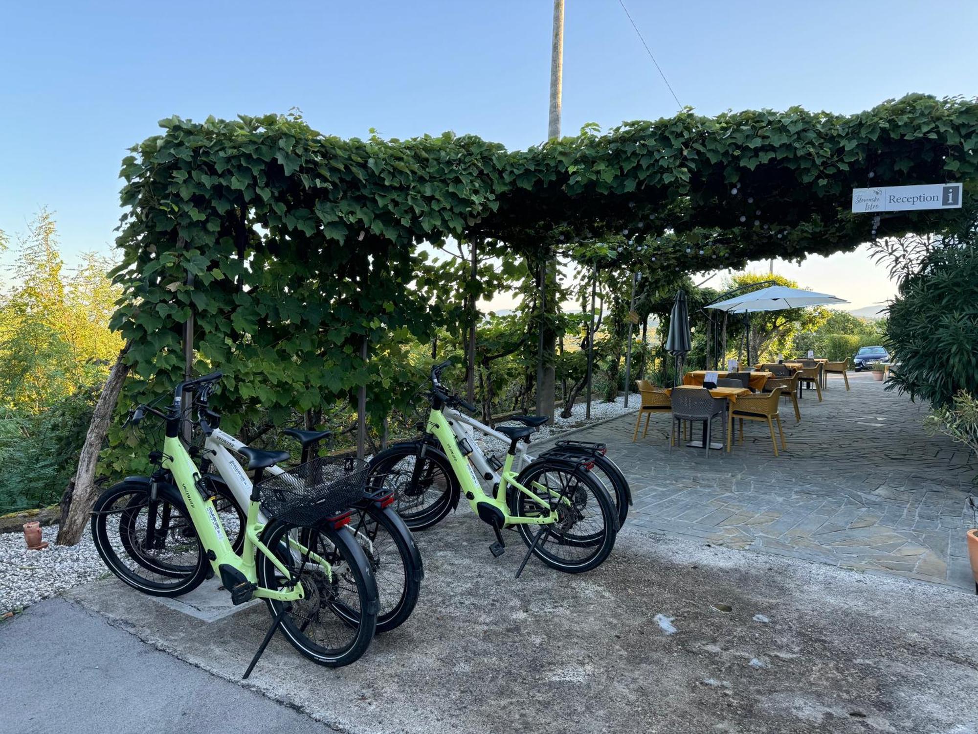 Guesthouse Green Istria Truske Екстер'єр фото