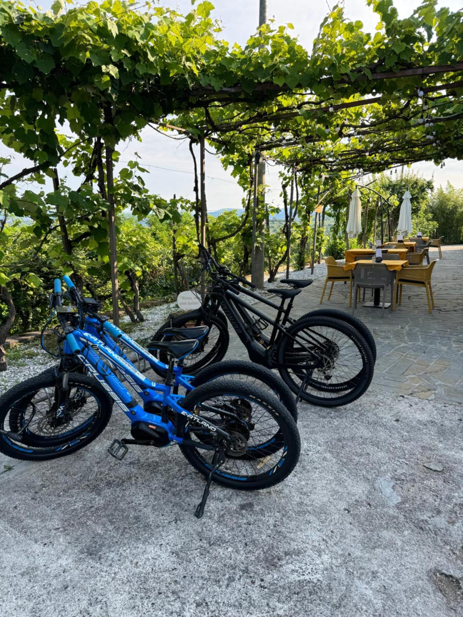 Guesthouse Green Istria Truske Екстер'єр фото