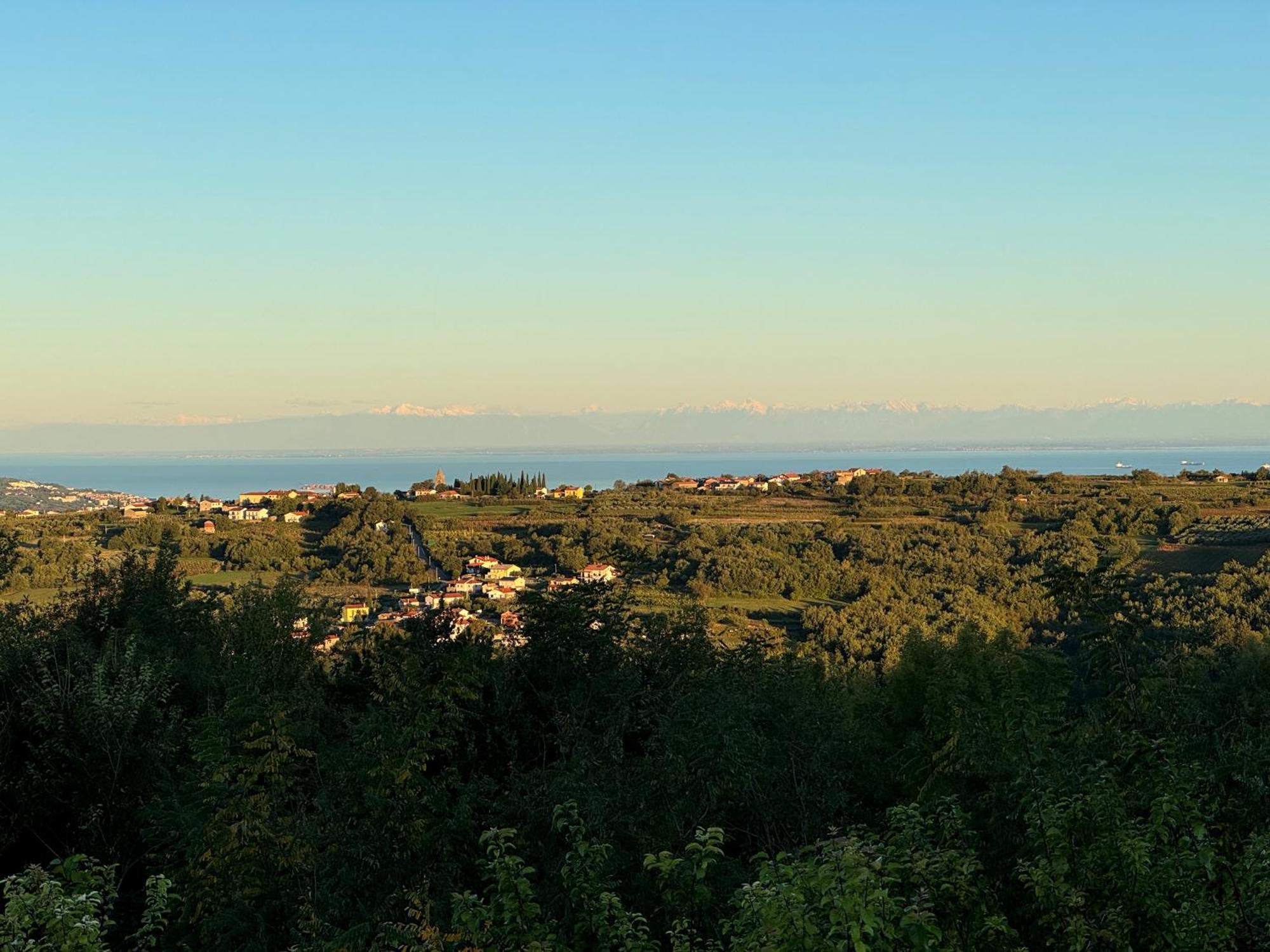 Guesthouse Green Istria Truske Екстер'єр фото